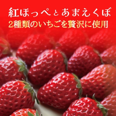 いちご ジェラート 食べ比べセット 8個 4種 紅ほっぺ あまえくぼ 徳島県