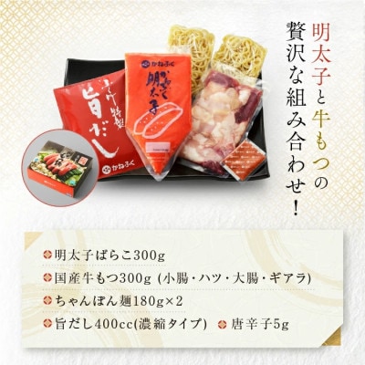 〈かねふく〉明太もつ鍋セット