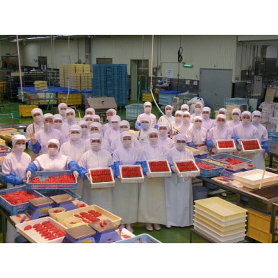かねふくの明太子(切れ子)冷凍便　1kg×2個(2kg)(大洗町)