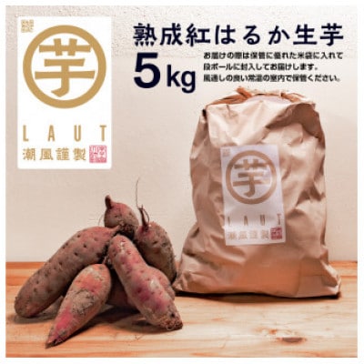 【先行予約 2025年12月下旬～順次発送】干し芋屋のさつまいも　熟成紅はるか生芋 5kg