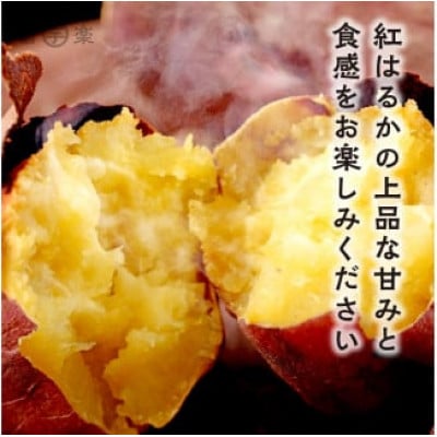 【先行予約 2025年12月下旬～順次発送】干し芋屋のさつまいも　熟成紅はるか生芋 5kg