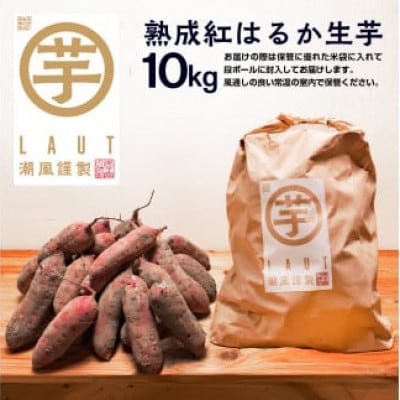 【先行予約】<2024年12月25日から順次発送> 干し芋屋のさつまいも　熟成紅はるか生芋 10kg