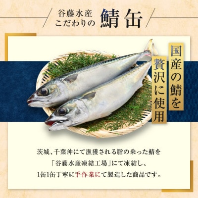 さば缶詰24缶セット(水煮)