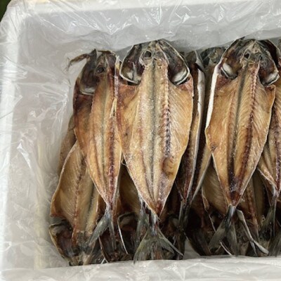 さば干物　20枚入