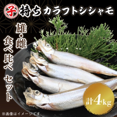 カラフトシシャモ雄雌食べ比べ4kgセット