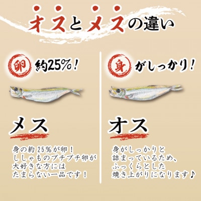 カラフトシシャモ雄雌食べ比べ4kgセット