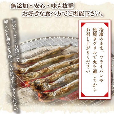 カラフトシシャモ雄雌食べ比べ4kgセット