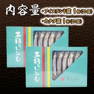 子持ちカラフトシシャモ産地食べ比べセット40尾(20尾×2箱)
