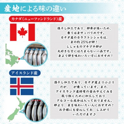 子持ちカラフトシシャモ産地食べ比べセット40尾(20尾×2箱)