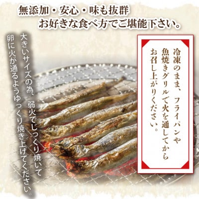 子持ちカラフトシシャモ産地食べ比べセット40尾(20尾×2箱)