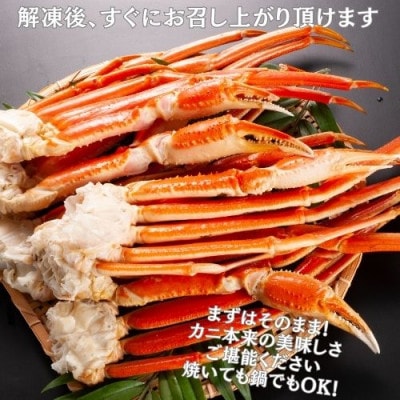 ボイル済 本ずわいがに脚 2Kg