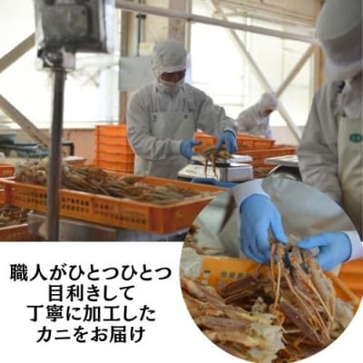 ボイル済 本ずわいがに脚 2Kg