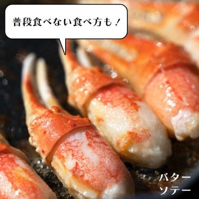 【ボイル】本ずわいがに爪 500g AF017