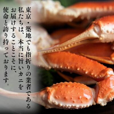 ボイル 本ずわいがに肩 1.5kg 6肩 (500g×3) AF016