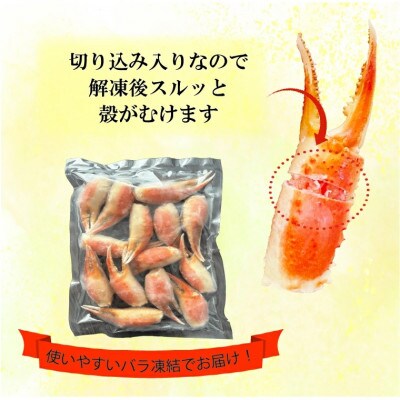 ボイル 本ずわいがに爪 500g×1 AF017