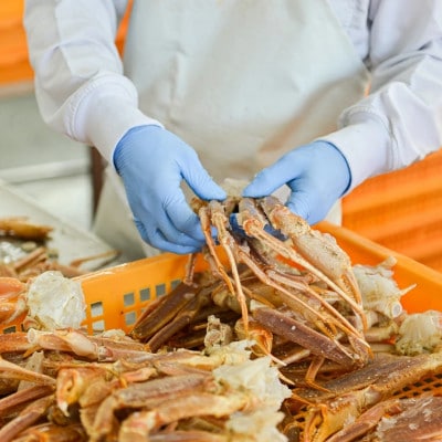 ボイル 本ずわいがに爪  1kg (500g×2) AF018