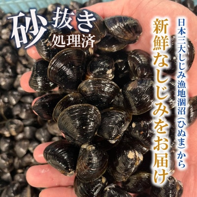 訳あり!!涸沼産 中粒 冷凍シジミ2.4kg(400g×6袋)