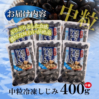 訳あり!!涸沼産 中粒 冷凍シジミ2.4kg(400g×6袋)
