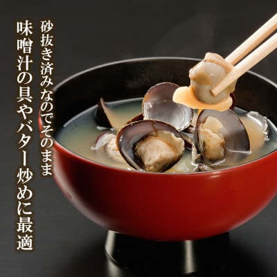 訳あり!!涸沼産 中粒 冷凍シジミ2.4kg(400g×6袋)