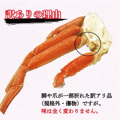【先行予約　9月中旬～順次発送】訳あり ボイル ずわいがに 2L～3Lサイズ 1kg 規格外 不揃い