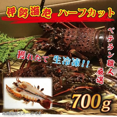 生冷凍 伊勢海老ハーフカット 700g AP030