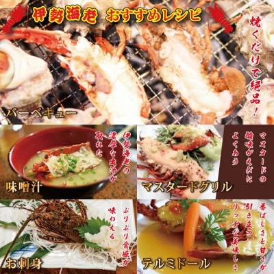 生冷凍 伊勢海老ハーフカット 700g AP030