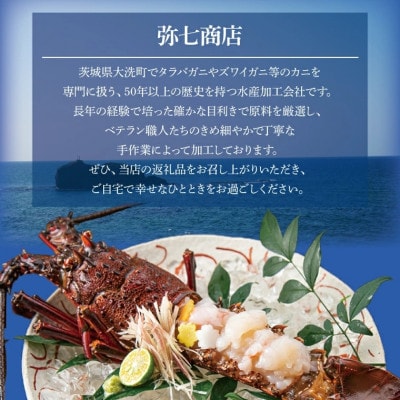 生冷凍 伊勢海老ハーフカット 700g AP030