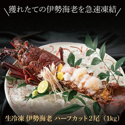 生冷凍 伊勢海老 2尾 1kg AP031