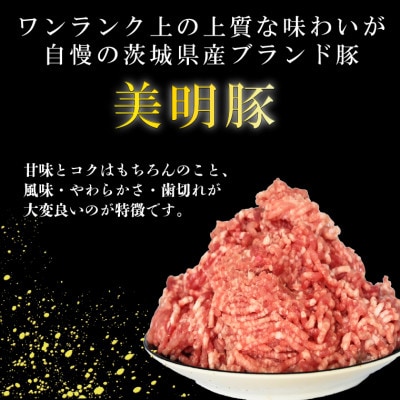 「美明豚」豚ひき肉 1kg (500g×2p)(茨城県共通返礼品・行方市産)