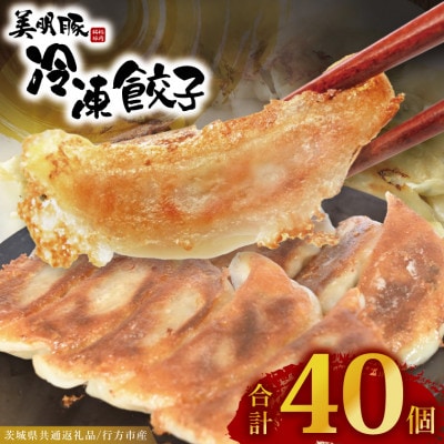 「美明豚」冷凍餃子 40個(20個×2袋)(茨城県共通返礼品・行方市産)