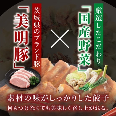 「美明豚」冷凍餃子 40個(20個×2袋)(茨城県共通返礼品・行方市産)