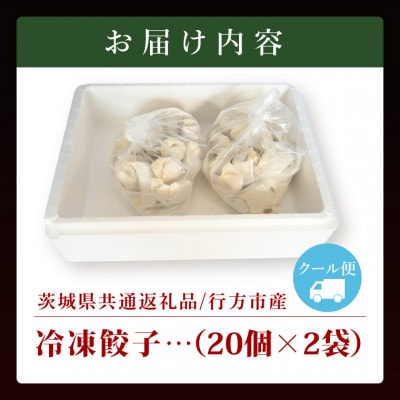 「美明豚」冷凍餃子 40個(20個×2袋)(茨城県共通返礼品・行方市産)