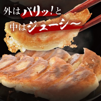 「美明豚」冷凍餃子 80個(20個×4袋)(茨城県共通返礼品・行方市産)