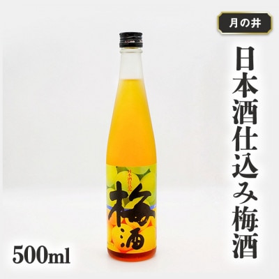 月の井 日本酒仕込み　梅酒　AW014