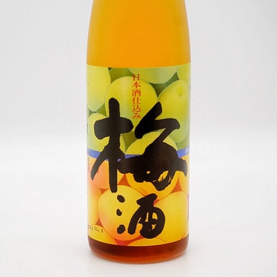 月の井 日本酒仕込み　梅酒　AW014