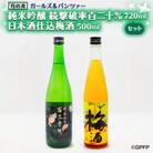 月の井 純米吟醸続撃破率百二十%・日本酒仕込梅酒セット　AW047