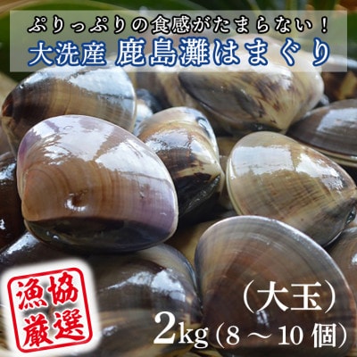 ぷりっぷりの食感がたまらない! 大洗産鹿島灘はまぐり　2kg(大玉)