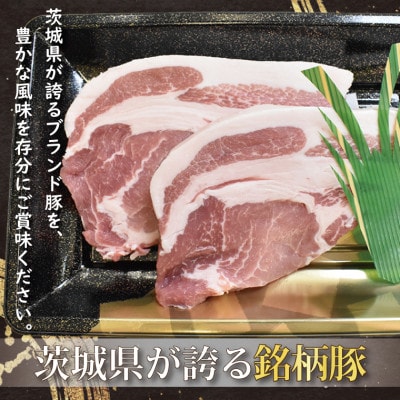 ローズポーク ロース とんかつ・ソテー用 約280g (約140g×2枚)