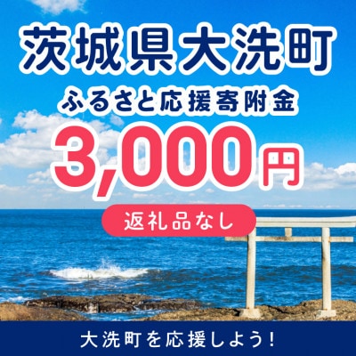 【返礼品なし】茨城県大洗町 ふるさと応援寄附金 1口 3,000円 ZZ033