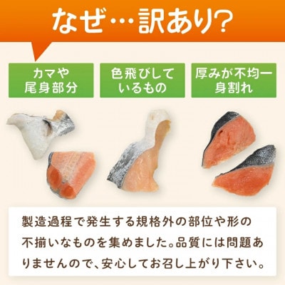 塩銀鮭 切身 切落し 2kg(500g×4パック)ET002
