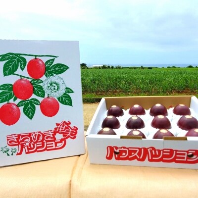 【先行受付】【2023年発送】富山農園のパッションフルーツ2kg (1kg×2箱化粧箱入り)