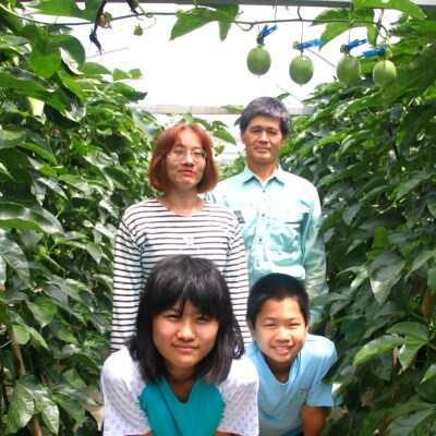 富山農園の自宅用パッションフルーツ6kg