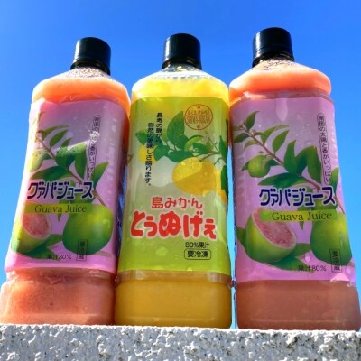 グァバ&島みかんジュース3本セット
