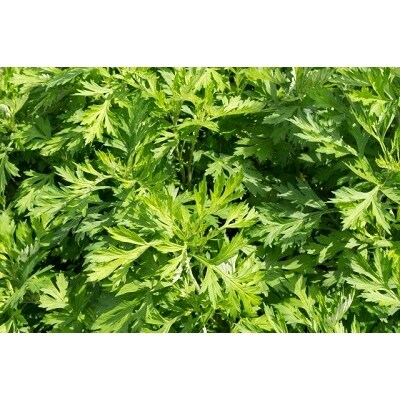 福元製菓のよもぎ餅 3袋