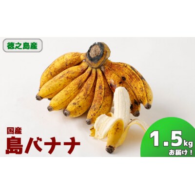 鹿児島県天城町 徳之島子宝バナナ 1 5kg 島バナナ バナナ お礼品詳細 ふるさと納税なら さとふる