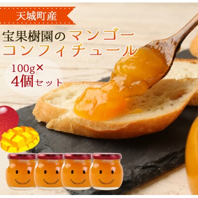 【天城町産】宝果樹園のマンゴーコンフィチュール　100g×4個セット