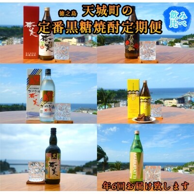 <定期便 年6回> 徳之島の定番黒糖焼酎定期便 2本セット 合計12本