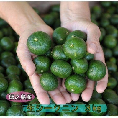【鹿児島県天城町】徳之島産 生シークニン 3kg