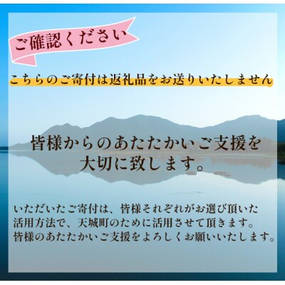 【返礼品なし】天城町 への寄付 (1口: 100,000円 )鹿児島 徳之島 天城町 寄附 応援 支