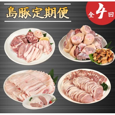 徳之島産 島豚 定期便 年4回 島豚 焼き肉 ロース 肩ロース しゃぶしゃぶ 豚足 三枚肉 徳之島